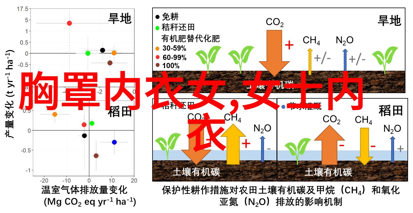 温柔与的代表隆重登场